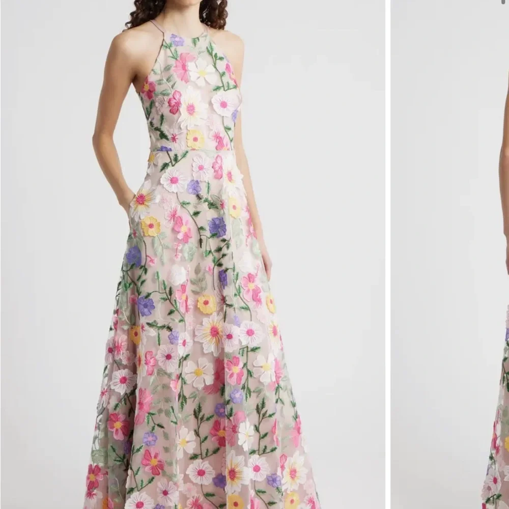 Eliza j Embroidered Sleeveless Gown blush multi